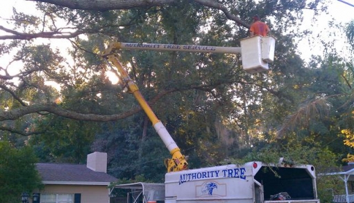 Tree Removal Crane Service Gainesville Florida